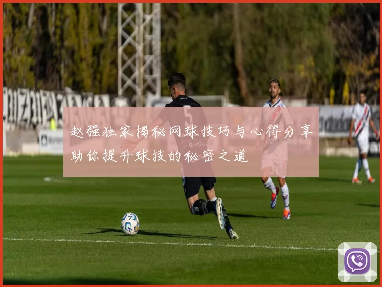 赵强独家揭秘网球技巧与心得分享助你提升球技的秘密之道