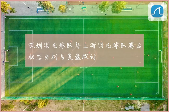 深圳羽毛球队与上海羽毛球队赛后状态分析与复盘探讨
