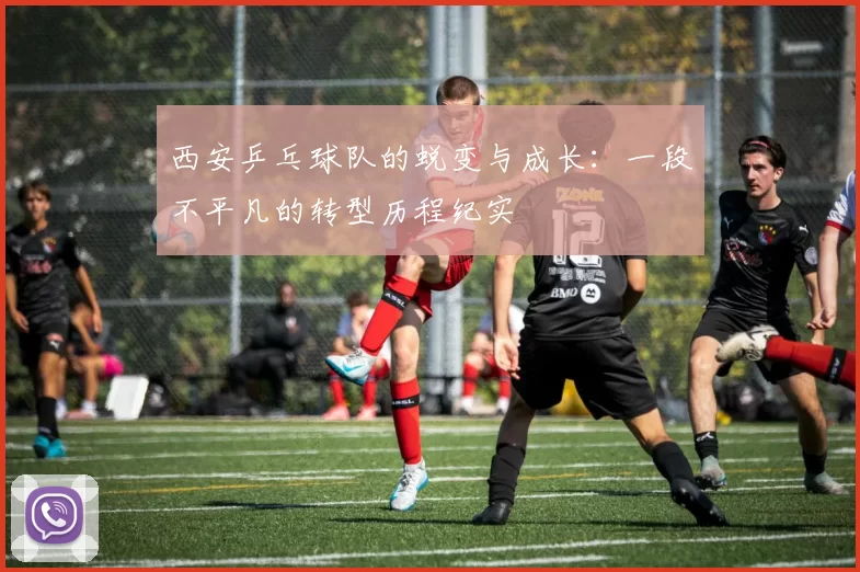 西安乒乓球队的蜕变与成长：一段不平凡的转型历程纪实