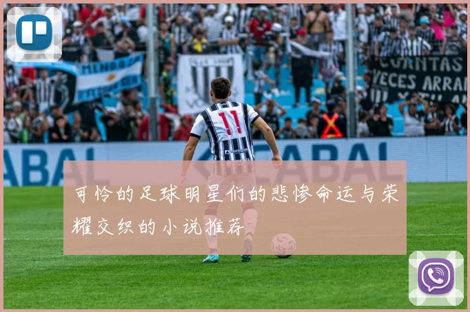 可怜的足球明星们的悲惨命运与荣耀交织的小说推荐