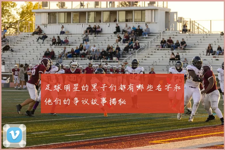 足球明星的黑子们都有哪些名字和他们的争议故事揭秘