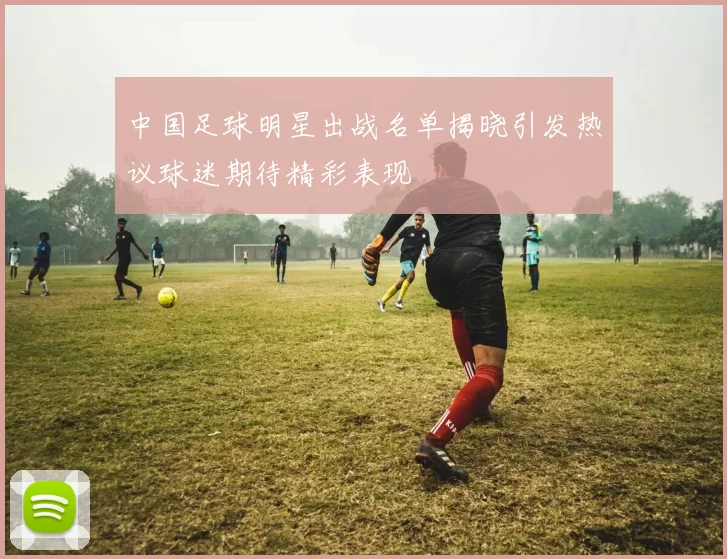 中国足球明星出战名单揭晓引发热议球迷期待精彩表现