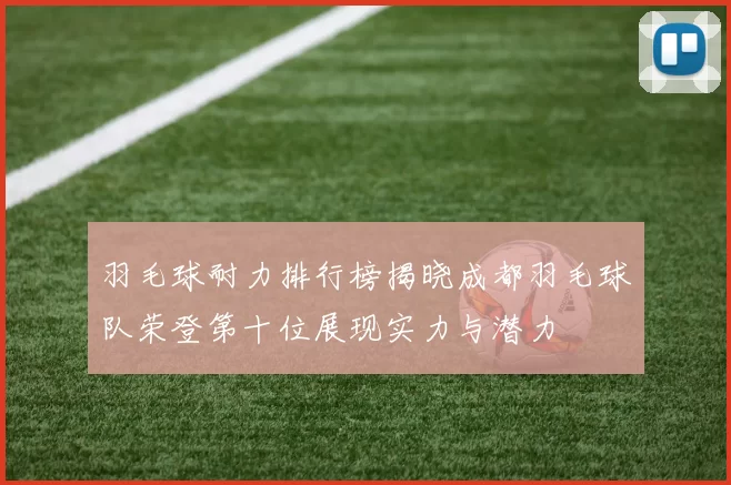 羽毛球耐力排行榜揭晓成都羽毛球队荣登第十位展现实力与潜力