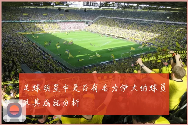 足球明星中是否有名为伊夫的球员及其成就分析