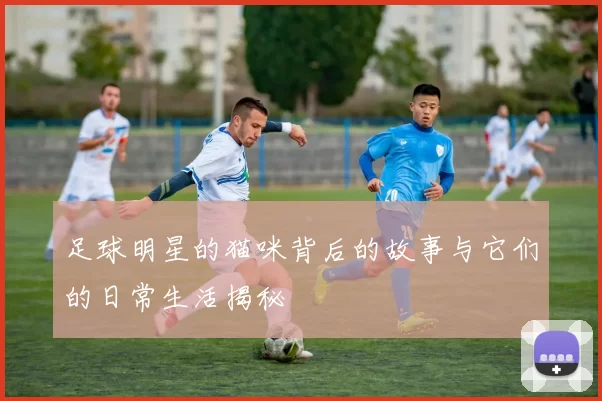 足球明星的猫咪背后的故事与它们的日常生活揭秘